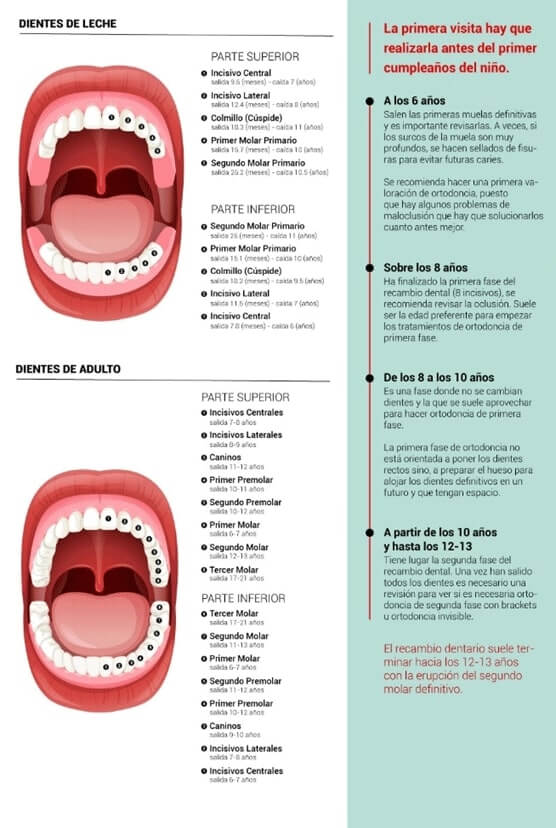 Ortodoncia funcional en niños